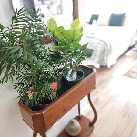 Kyra House Centro Vigo 아파트 외부 사진