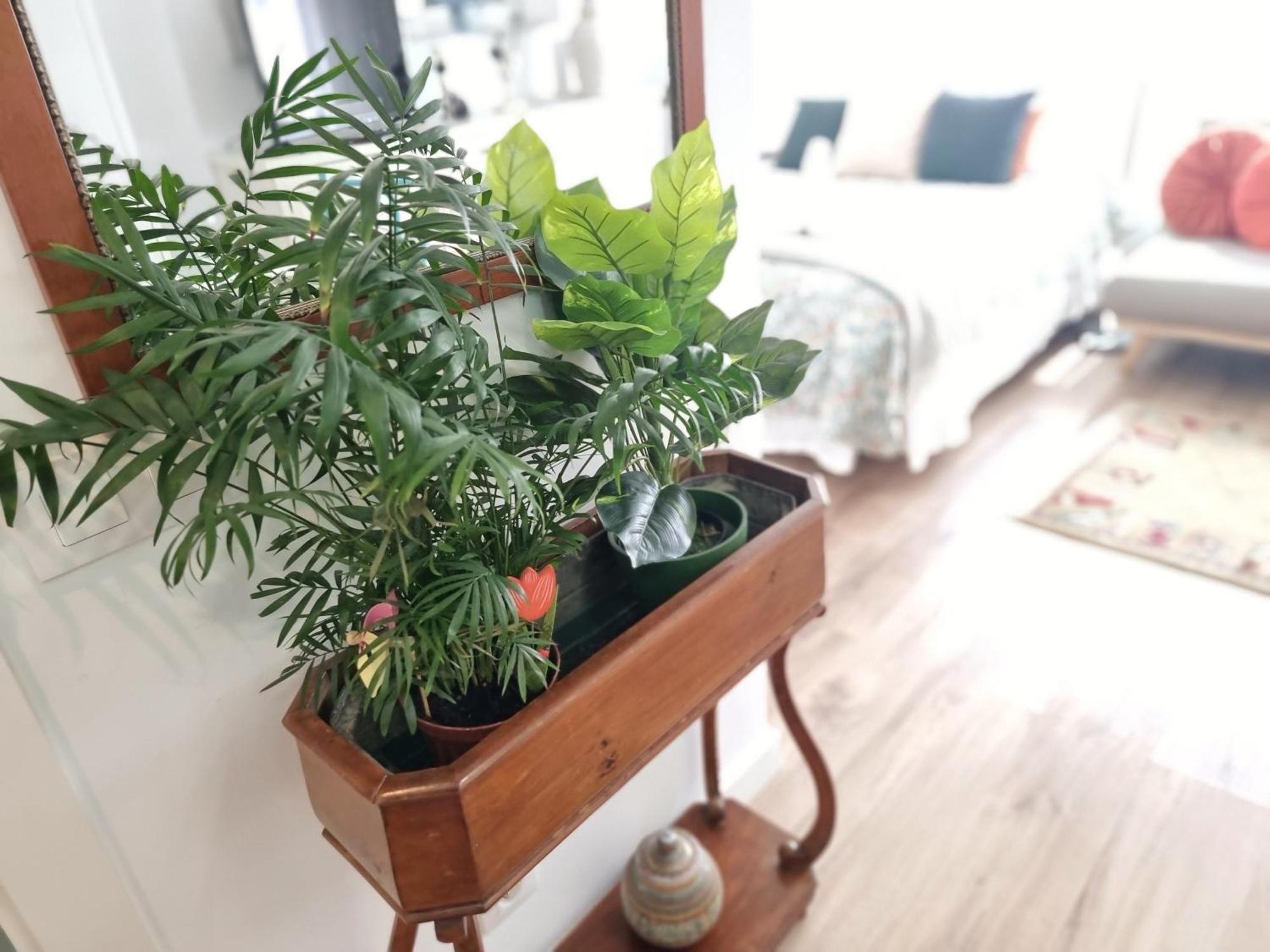 Kyra House Centro Vigo 아파트 외부 사진